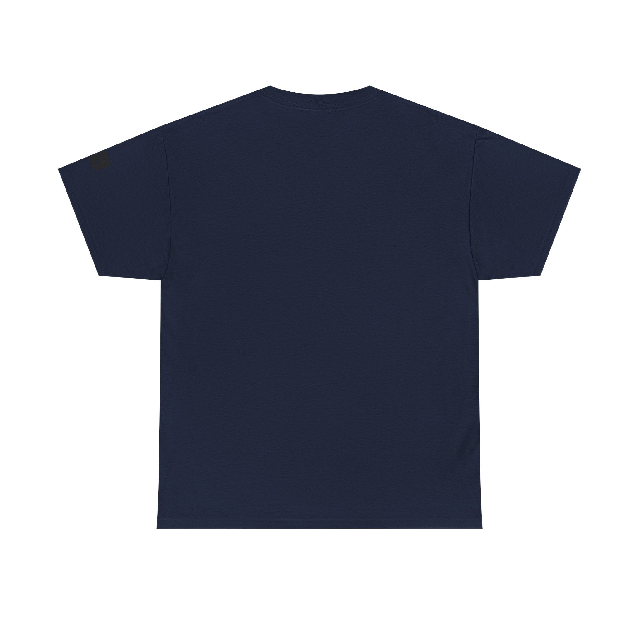 I Fucked You And All I Got Was This Lousy Shirt Tee