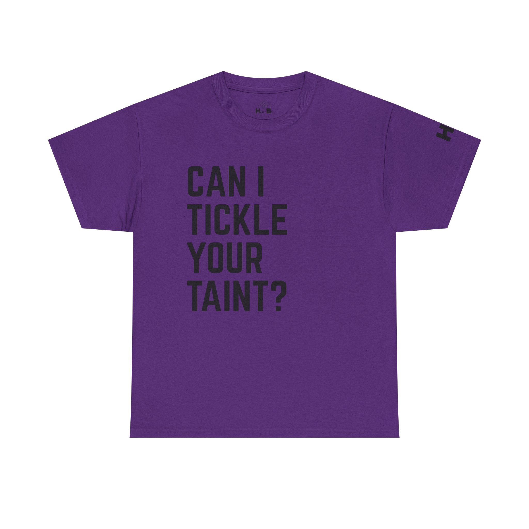 Can I Tickle Your Taint Tee
