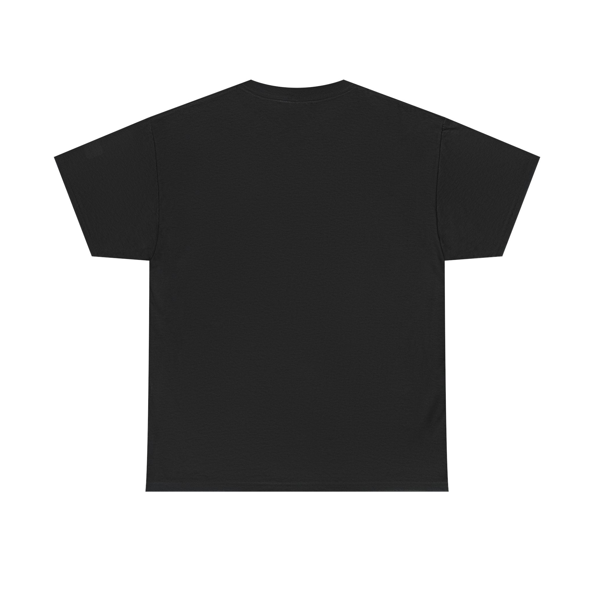I Fucked You And All I Got Was This Lousy Shirt Tee